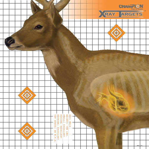 CHAMPION X-RAY TARGET DEER 25"X25" 6-PACK - for sale